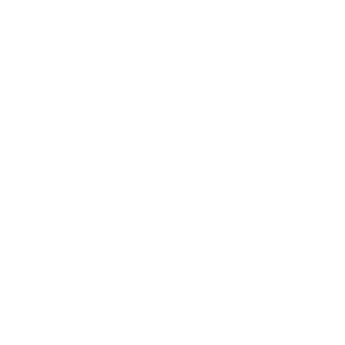 SEXTOYS