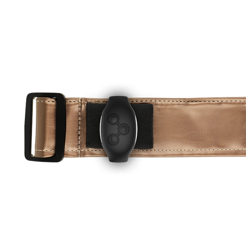 img_124997_e596ba28abdf39e6a92dc86b7180962c_1.png MYTHOLOGY - HARNAIS FANTAISIE HARNAIS BRONZE S/M – Image 5