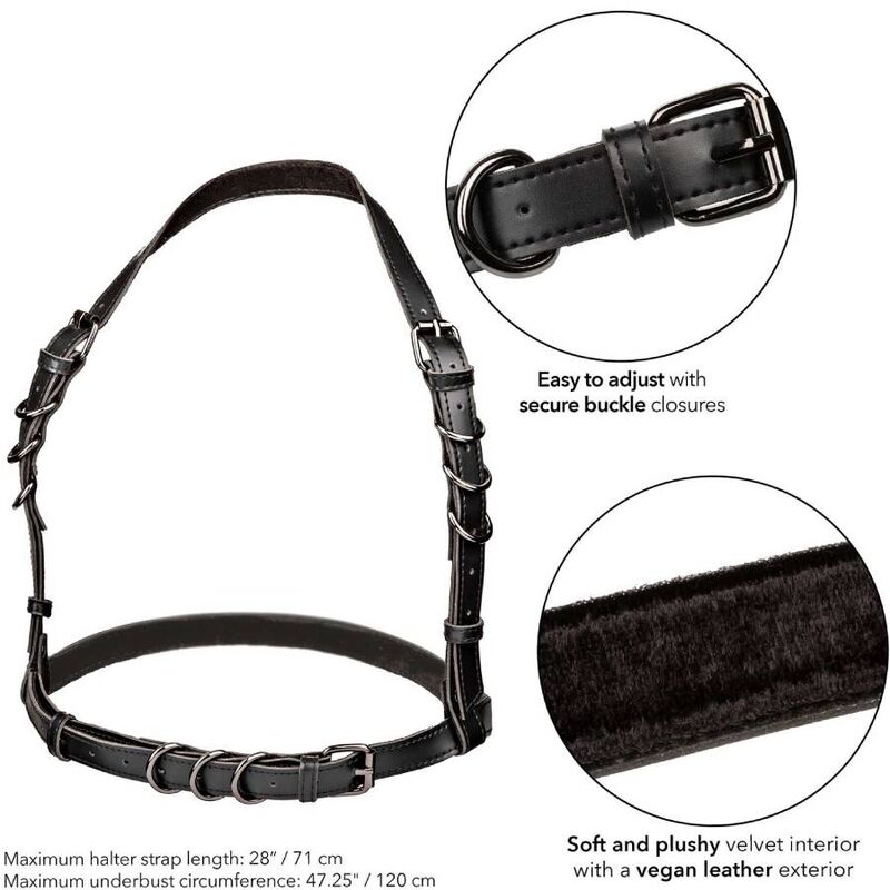 img_173058_be687b3dd1c231749464f1d142ace4df_1.jpg CALEXOTICS - EUPHORIA HARNAIS BOUCLE LICOL TAILLE PLUS NOIR – Image 5