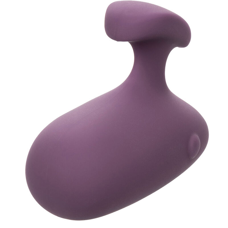 img_174264_1c636b634e64c50be84f4cf27802af9c_1.jpg CALEXOTICS - STIMULATEUR MOD TOUCH VIOLET – Image 3