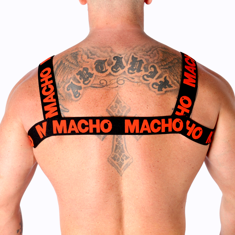 img_185372_8e16073ecf6b36c4c32fcd8e7bbc028b_1.png MACHO - HARNAIS DOUBLE ROUGE – Image 4