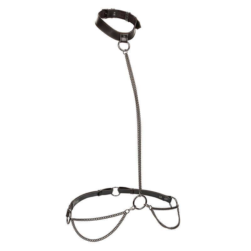 img_186240_5e9a2133b963e23746b4f5ee96796cde_1.jpg CALEXOTICS - EUPHORIA COLLIER ET LAISSE CHAINE – Image 2