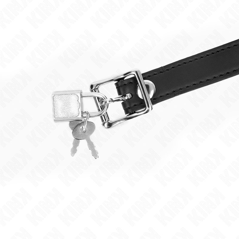 img_188959_654033686823c3bc6887fae666b1672e_1.png KINK - BÂTON EN SILICONE 4 CM AVEC SERRURE 60 x 2 CM – Image 4